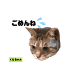みらいねこ横濱⑧（個別スタンプ：36）