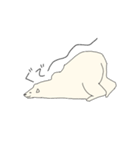 しろくまがすき！！！！（個別スタンプ：5）