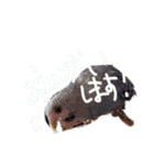 すけかく3（個別スタンプ：4）