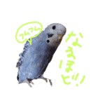 すけかく3（個別スタンプ：9）