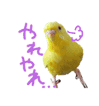 すけかく3（個別スタンプ：10）