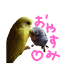 すけかく3（個別スタンプ：13）