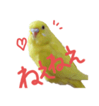 すけかく3（個別スタンプ：14）