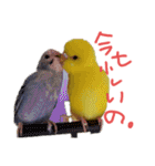 すけかく3（個別スタンプ：18）