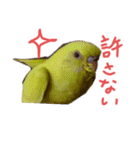 すけかく3（個別スタンプ：19）