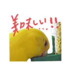 すけかく3（個別スタンプ：20）