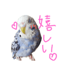 すけかく3（個別スタンプ：23）