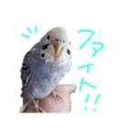 すけかく3（個別スタンプ：25）