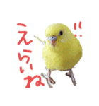 すけかく3（個別スタンプ：26）