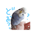 すけかく3（個別スタンプ：27）