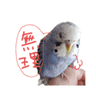 すけかく3（個別スタンプ：30）
