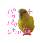 すけかく3（個別スタンプ：35）