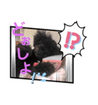仲良し3人家族＆時々ミコトw（個別スタンプ：11）