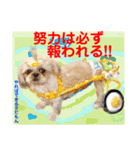 Smilewanの仲間達①（個別スタンプ：2）