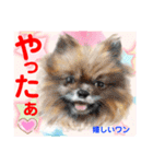 Smilewanの仲間達①（個別スタンプ：7）