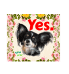 Smilewanの仲間達①（個別スタンプ：8）