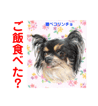 Smilewanの仲間達①（個別スタンプ：9）