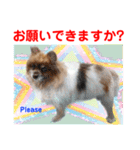 Smilewanの仲間達①（個別スタンプ：12）