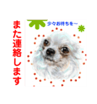Smilewanの仲間達①（個別スタンプ：14）