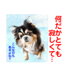 Smilewanの仲間達①（個別スタンプ：19）