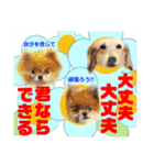 Smilewanの仲間達①（個別スタンプ：22）