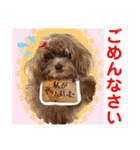 Smilewanの仲間達①（個別スタンプ：26）