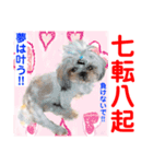 Smilewanの仲間達①（個別スタンプ：28）