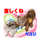 Smilewanの仲間達①（個別スタンプ：29）