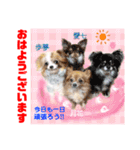 Smilewanの仲間達①（個別スタンプ：31）
