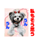 Smilewanの仲間達①（個別スタンプ：32）
