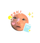 アオピのスタンプ（個別スタンプ：20）