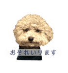 犬わんちゃんねる（個別スタンプ：4）