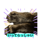 うちの黒猫レモンぷち☺（個別スタンプ：3）