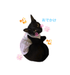 うちの黒猫レモンぷち☺（個別スタンプ：5）