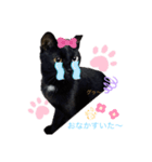 うちの黒猫レモンぷち☺（個別スタンプ：6）