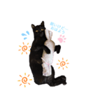 うちの黒猫レモンぷち☺（個別スタンプ：7）