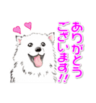 犬 かわいい いろんな ワンコ ペット（個別スタンプ：1）