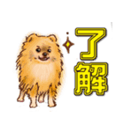 犬 かわいい いろんな ワンコ ペット（個別スタンプ：2）