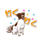 犬 かわいい いろんな ワンコ ペット（個別スタンプ：4）