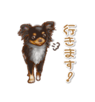 犬 かわいい いろんな ワンコ ペット（個別スタンプ：7）