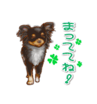 犬 かわいい いろんな ワンコ ペット（個別スタンプ：8）