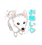 犬 かわいい いろんな ワンコ ペット（個別スタンプ：9）