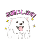 犬 かわいい いろんな ワンコ ペット（個別スタンプ：10）