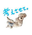 【公式】ブランでゃ！（個別スタンプ：2）