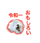 【公式】ブランでゃ！（個別スタンプ：4）