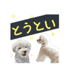 【公式】ブランでゃ！（個別スタンプ：8）