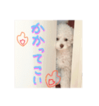 【公式】ブランでゃ！（個別スタンプ：16）