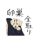 【公式】ブランでゃ！（個別スタンプ：18）