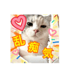 【公式】ブランでゃ！（個別スタンプ：37）