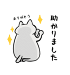 ねこうさコンビ(敬語)（個別スタンプ：21）